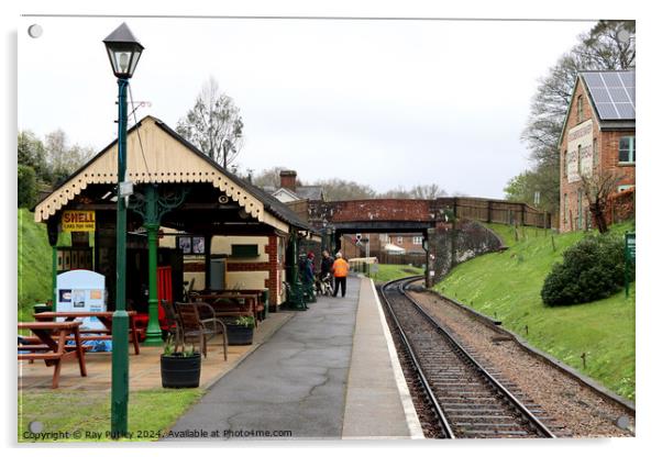 Spa Valley Railway Acrylic by Ray Putley