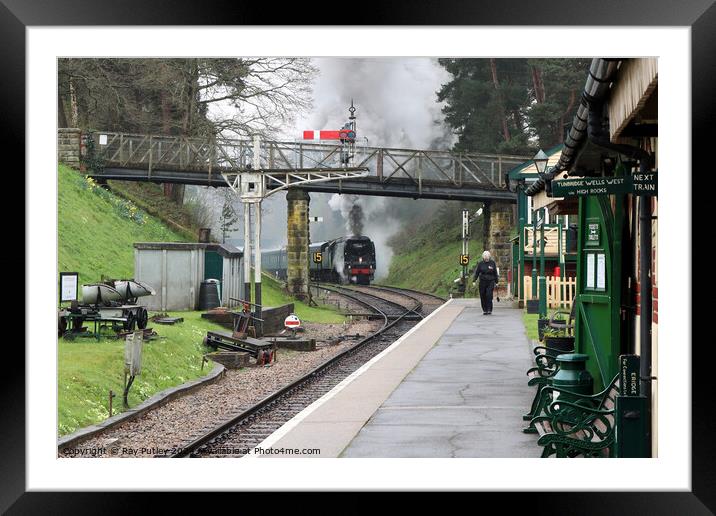Spa Valley Railway Framed Mounted Print by Ray Putley