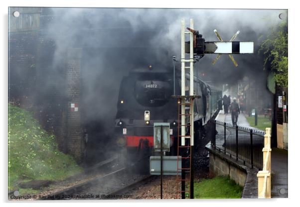 Spa Valley Railway Acrylic by Ray Putley