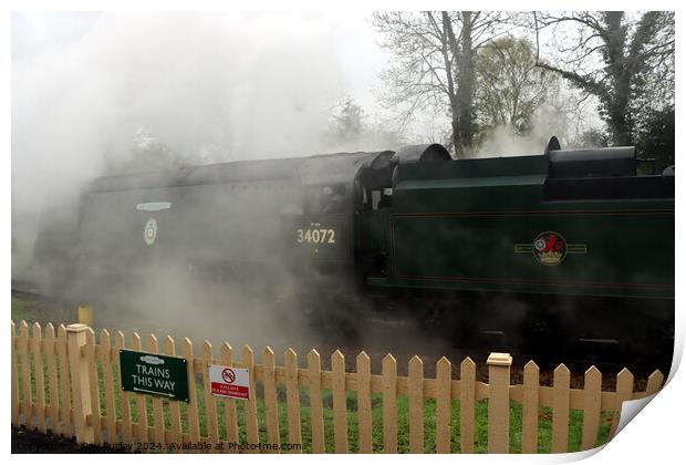 Spa Valley Railway Print by Ray Putley