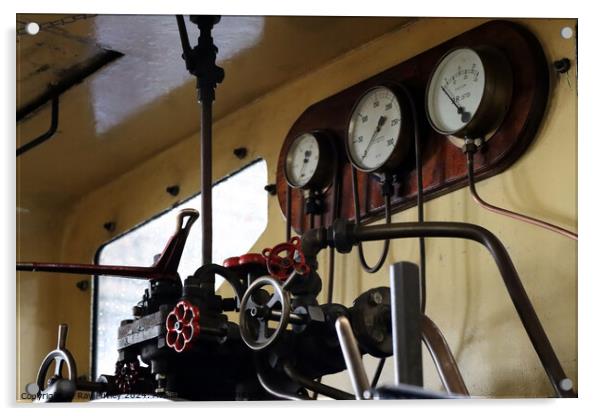 Spa Valley Railway Acrylic by Ray Putley