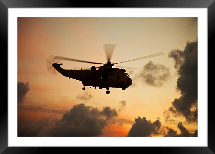  Seaking  Framed Mounted Print by Gail Johnson