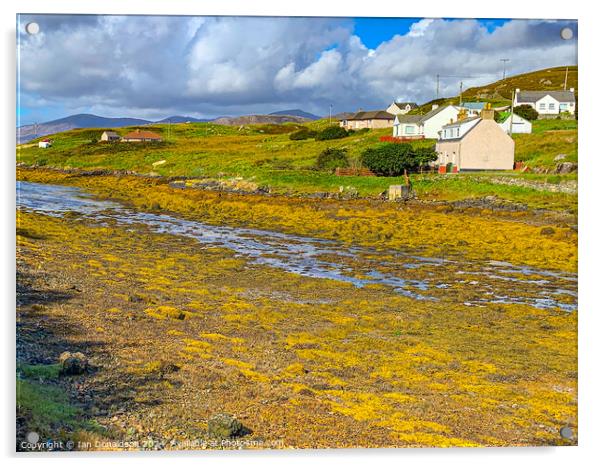 Isle of  Scalpay  Acrylic by Ian Donaldson