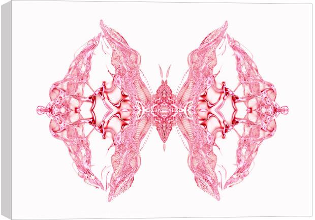 Butterfly Series: Intricate Pink Lace Butterfly Canvas Print by FocusArt Flow
