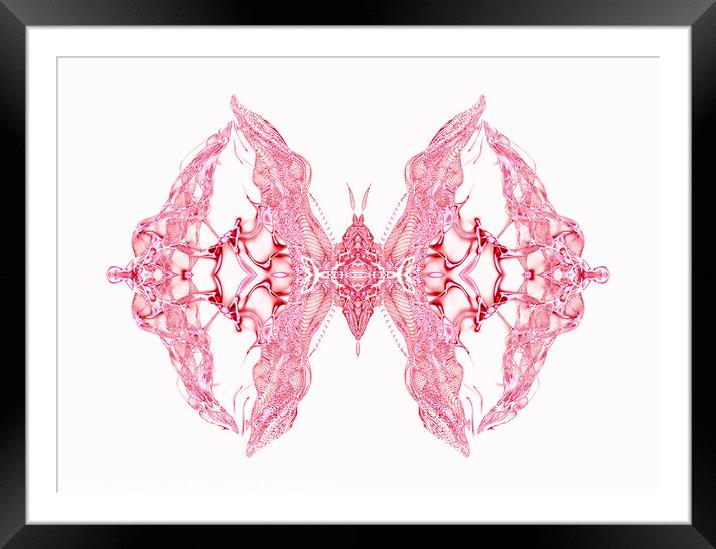 Butterfly Series: Intricate Pink Lace Butterfly Framed Mounted Print by FocusArt Flow