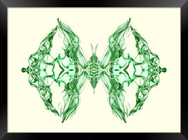 Butterfly Series: Emerald Green Symmetrical Butterfly Framed Print by FocusArt Flow