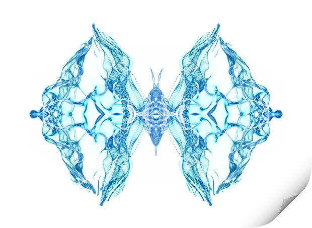 Butterfly Series: Blue butterfly over white background Print by FocusArt Flow