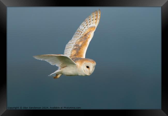 Barn Owl on the hunt Framed Print by Glyn Sanderson