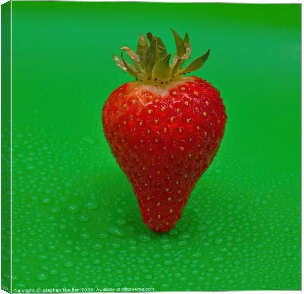 Single Strawberry on Green Background Canvas Print by Stephen Noulton