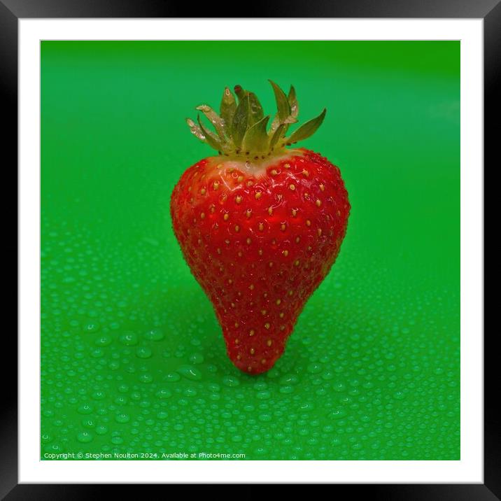 Single Strawberry on Green Background Framed Mounted Print by Stephen Noulton