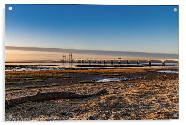 Prince of Wales Bridge Golden hour Acrylic by Craig Thatcher