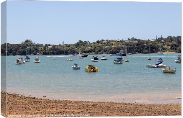 Moored Boats, Paihia, New Zealand, 5.12.22 Canvas Print by Colin Mortimer