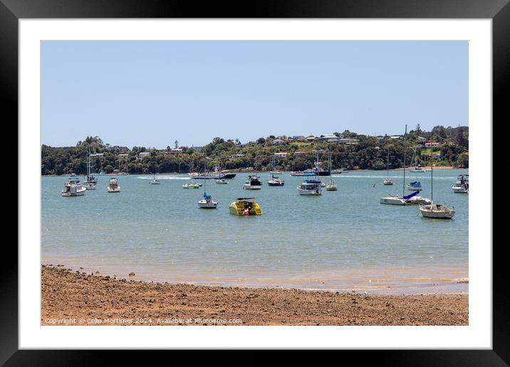 Moored Boats, Paihia, New Zealand, 5.12.22 Framed Mounted Print by Colin Mortimer