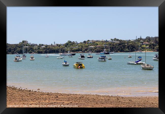 Moored Boats, Paihia, New Zealand, 5.12.22 Framed Print by Colin Mortimer