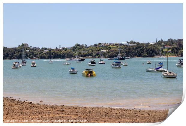 Moored Boats, Paihia, New Zealand, 5.12.22 Print by Colin Mortimer