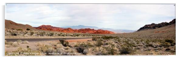 Valley of Fire Entrance Approach Wide Acrylic by Pete Klinger