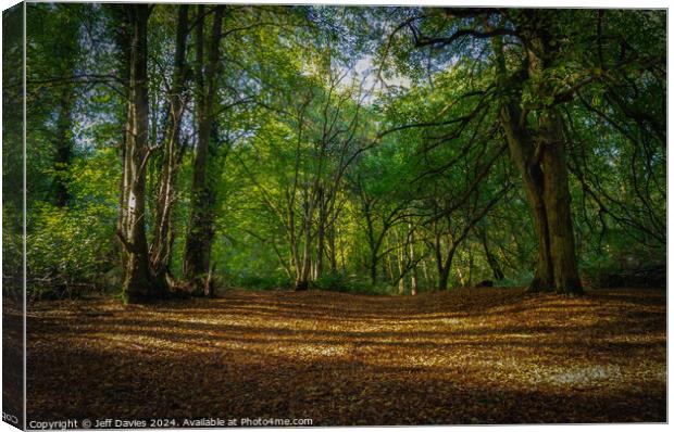 Autumn At Hartshill Hayes Canvas Print by Jeff Davies