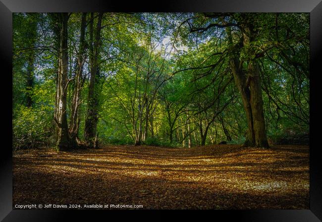 Autumn At Hartshill Hayes Framed Print by Jeff Davies