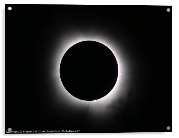 Total Solar Eclipse  Acrylic by Frankie Cat