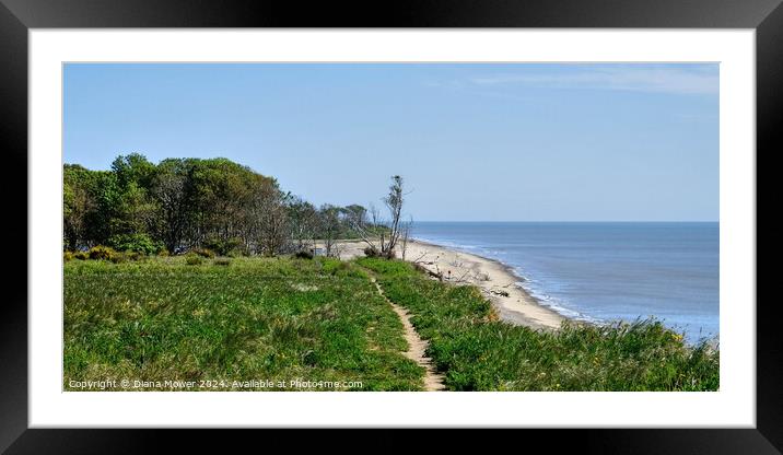 The Beach Path Covehithe Suffolk Framed Mounted Print by Diana Mower