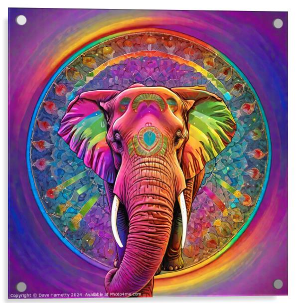 Elephant Mandala Acrylic by Dave Harnetty