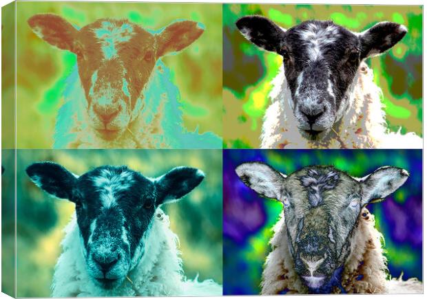 Dreaming of electric sheep Canvas Print by Cliff Kinch