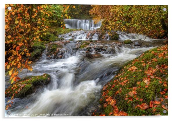 Autumnal View of Lower Cascade of Stock Ghyll Force, Ambleside, Lake District, Cumbria Acrylic by Steve 