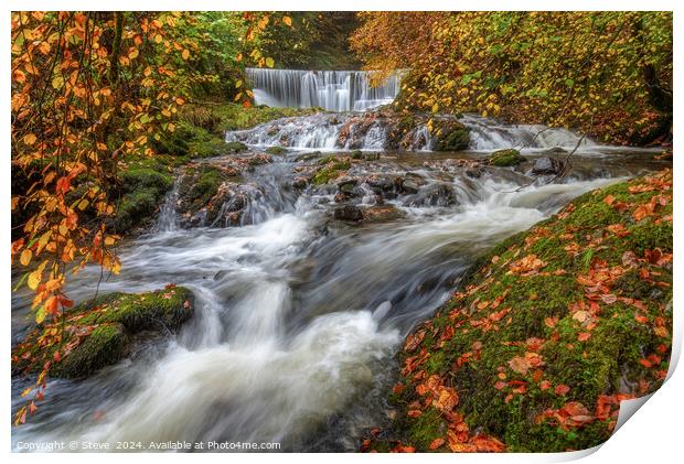 Autumnal View of Lower Cascade of Stock Ghyll Force, Ambleside, Lake District, Cumbria Print by Steve 