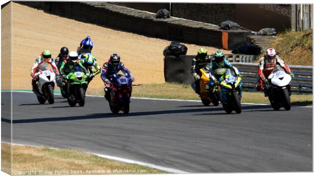 Motorcycle Race Track Mishaps Canvas Print by Ray Putley