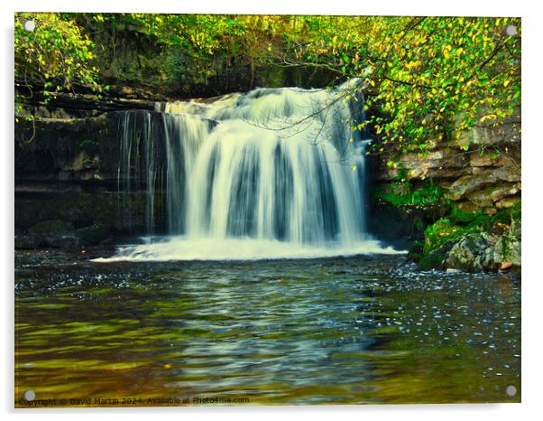Bishopdale waterfall 3 Acrylic by David Martin