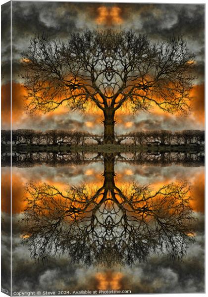 Stormy Mirrored Tree Canvas Print by Steve 