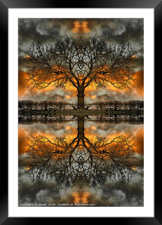 Stormy Mirrored Tree Framed Mounted Print by Steve 