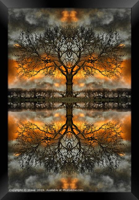 Stormy Mirrored Tree Framed Print by Steve 