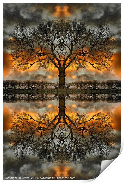 Stormy Mirrored Tree Print by Steve 