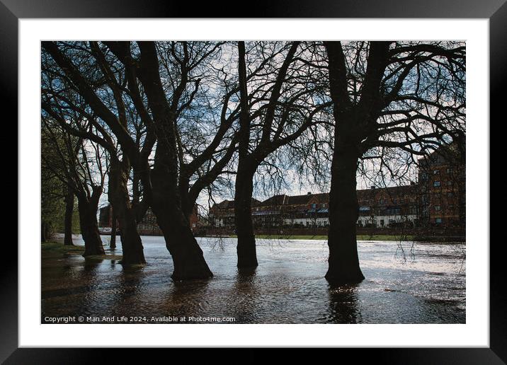 Silhouetted trees line a flooded urban street with historical buildings in the background, under a cloudy sky, conveying a moody and dramatic atmosphere in York, North Yorkshire, England. Framed Mounted Print by Man And Life