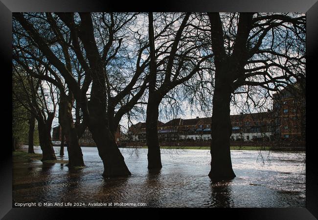 Silhouetted trees line a flooded urban street with historical buildings in the background, under a cloudy sky, conveying a moody and dramatic atmosphere in York, North Yorkshire, England. Framed Print by Man And Life