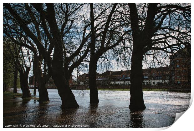 Silhouetted trees line a flooded urban street with historical buildings in the background, under a cloudy sky, conveying a moody and dramatic atmosphere in York, North Yorkshire, England. Print by Man And Life