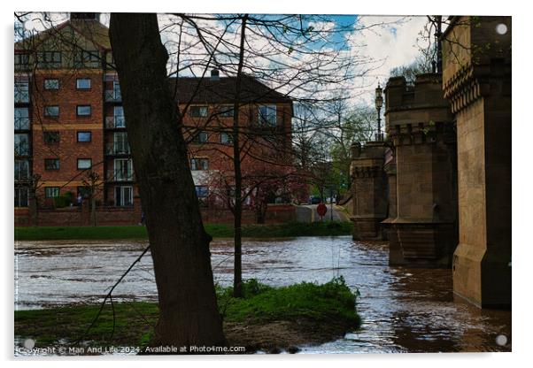 Urban riverside scene with swollen river waters, lush greenery, and a backdrop of modern residential buildings, showcasing the contrast between nature and urban development in York, North Yorkshire, England. Acrylic by Man And Life