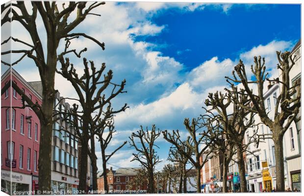 Leafless trees line a vibrant urban street with colorful buildings under a blue sky with fluffy clouds, creating a stark contrast between nature and city life in York, North Yorkshire, England. Canvas Print by Man And Life