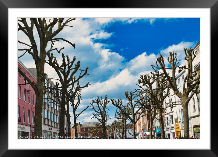 Leafless trees line a vibrant urban street with colorful buildings under a blue sky with fluffy clouds, creating a stark contrast between nature and city life in York, North Yorkshire, England. Framed Mounted Print by Man And Life