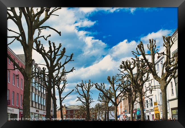 Leafless trees line a vibrant urban street with colorful buildings under a blue sky with fluffy clouds, creating a stark contrast between nature and city life in York, North Yorkshire, England. Framed Print by Man And Life
