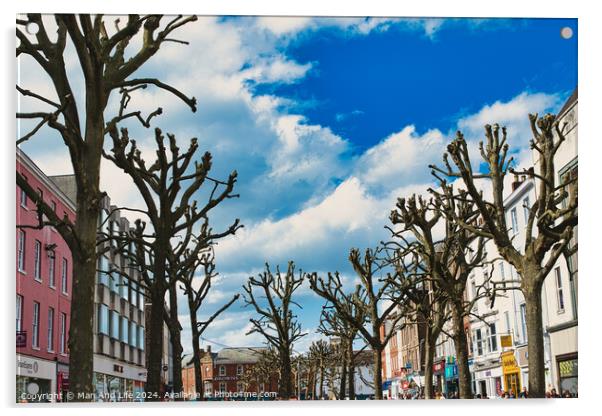 Leafless trees line a vibrant urban street with colorful buildings under a blue sky with fluffy clouds, creating a stark contrast between nature and city life in York, North Yorkshire, England. Acrylic by Man And Life