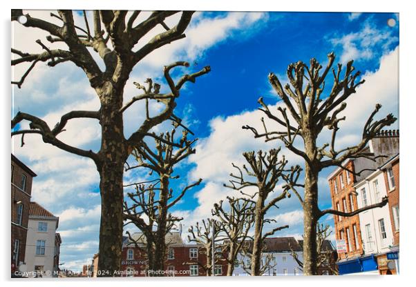 Leafless trees against a vibrant blue sky with fluffy clouds, showcasing a stark contrast between nature and the colorful facades of urban buildings in the background in York, North Yorkshire, England. Acrylic by Man And Life