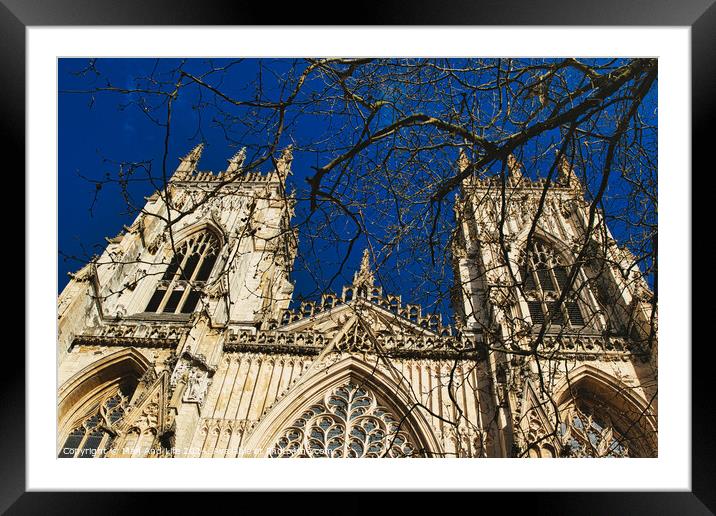 Gothic cathedral facade with intricate architecture and blue sky background, framed by bare tree branches in York, North Yorkshire, England. Framed Mounted Print by Man And Life