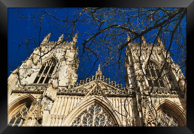 Gothic cathedral facade with intricate architecture and blue sky background, framed by bare tree branches in York, North Yorkshire, England. Framed Print by Man And Life
