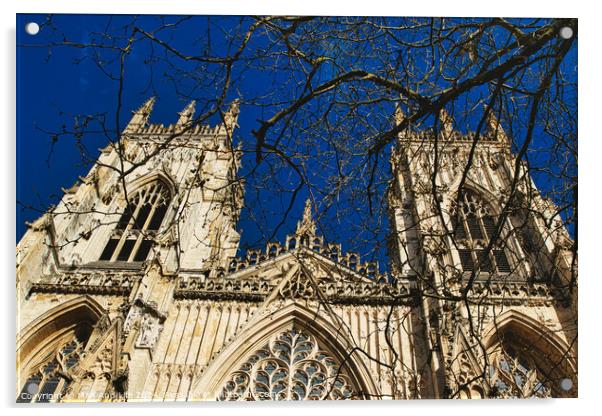 Gothic cathedral facade with intricate architecture and blue sky background, framed by bare tree branches in York, North Yorkshire, England. Acrylic by Man And Life