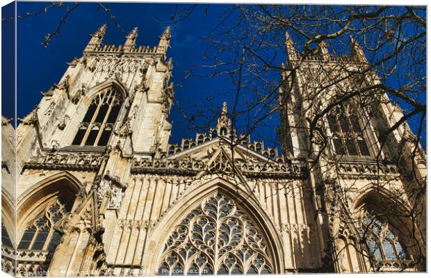 Gothic cathedral facade with intricate architecture and blue sky background, framed by bare tree branches in York, North Yorkshire, England. Canvas Print by Man And Life
