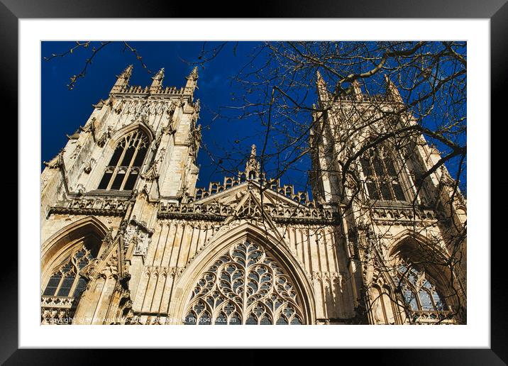 Gothic cathedral facade with intricate architecture and blue sky background, framed by bare tree branches in York, North Yorkshire, England. Framed Mounted Print by Man And Life