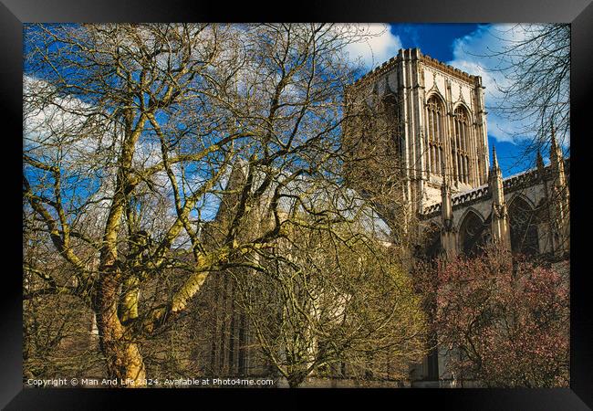 Historic cathedral with Gothic architecture, framed by leafless trees under a blue sky with fluffy clouds in York, North Yorkshire, England. Framed Print by Man And Life
