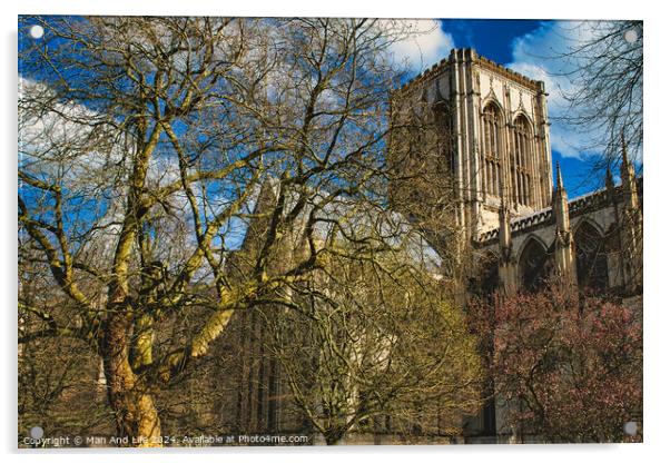 Historic cathedral with Gothic architecture, framed by leafless trees under a blue sky with fluffy clouds in York, North Yorkshire, England. Acrylic by Man And Life
